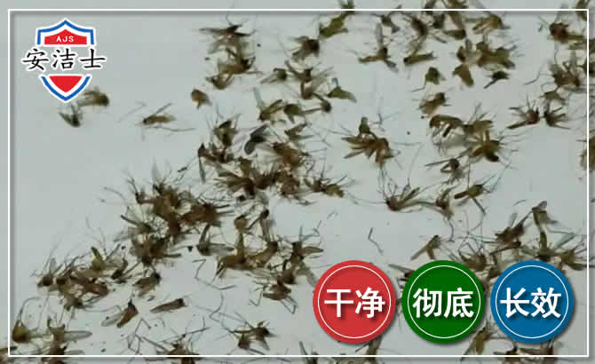 吴兴区苍蝇防治-灭蝇