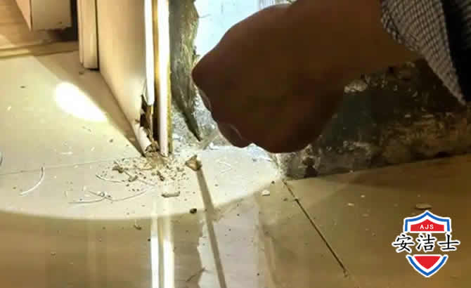 吴兴区房屋建筑防治白蚁