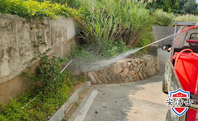 吴兴区道路堤坝白蚁防治