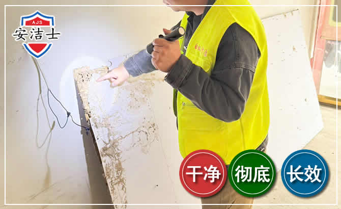 吴兴区除白蚁现场