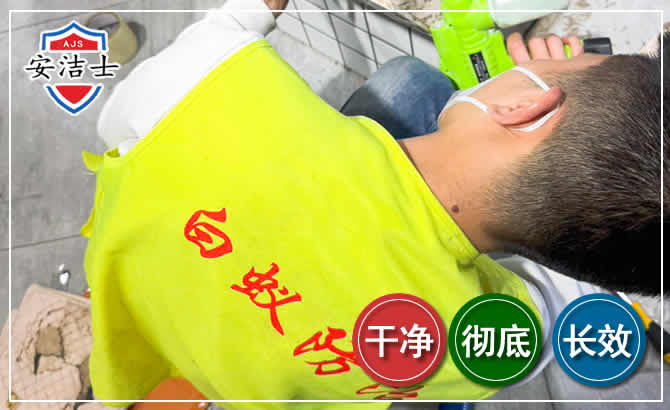 吴兴区白蚁根治现场